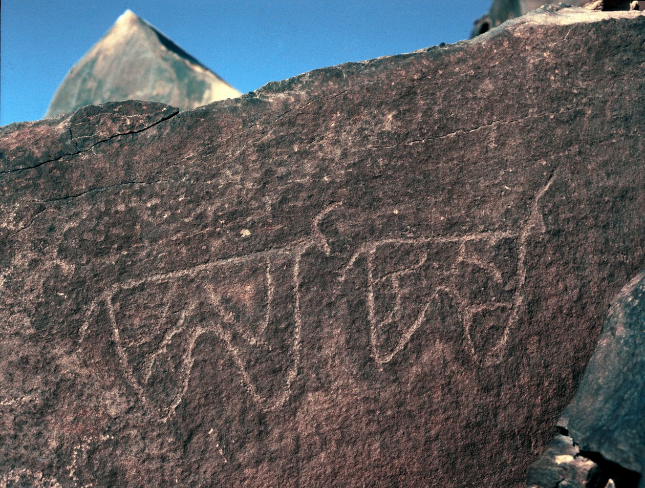 Tarih öncesi, kaya sanatı: sığır temsilinin mezar taşı. Tazina tarzı. Taş Devri 5000-2000 M.Ö. Taghit, Haut plato du Hoggar (Ahaggar), Cezayir by Prehistoric Prehistoric