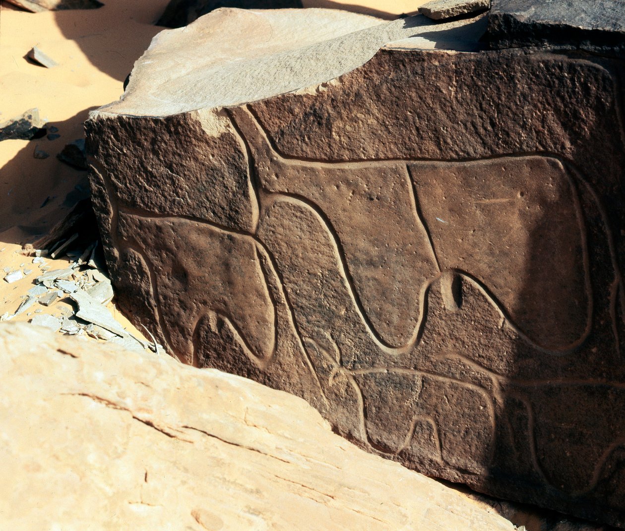 Tarih öncesi, kaya sanatı: sığır temsilinin mezar taşı. Tazina tarzı. Taş Devri 5000-2000 M.Ö. Taghit, Haut plato du Hoggar (Ahaggar), Cezayir by Prehistoric Prehistoric