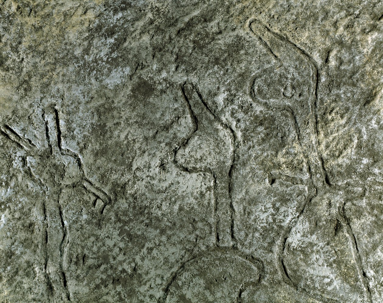 Tarihöncesi, kaya sanatı: bir av sahnesinin petroglif (taş üzerine grafiti). neolitik, taş devri. (Azerbaycan) Bronz çağı. Bakü, Azerbaycan Devlet Din Tarihi Müzesi by Prehistoric Prehistoric