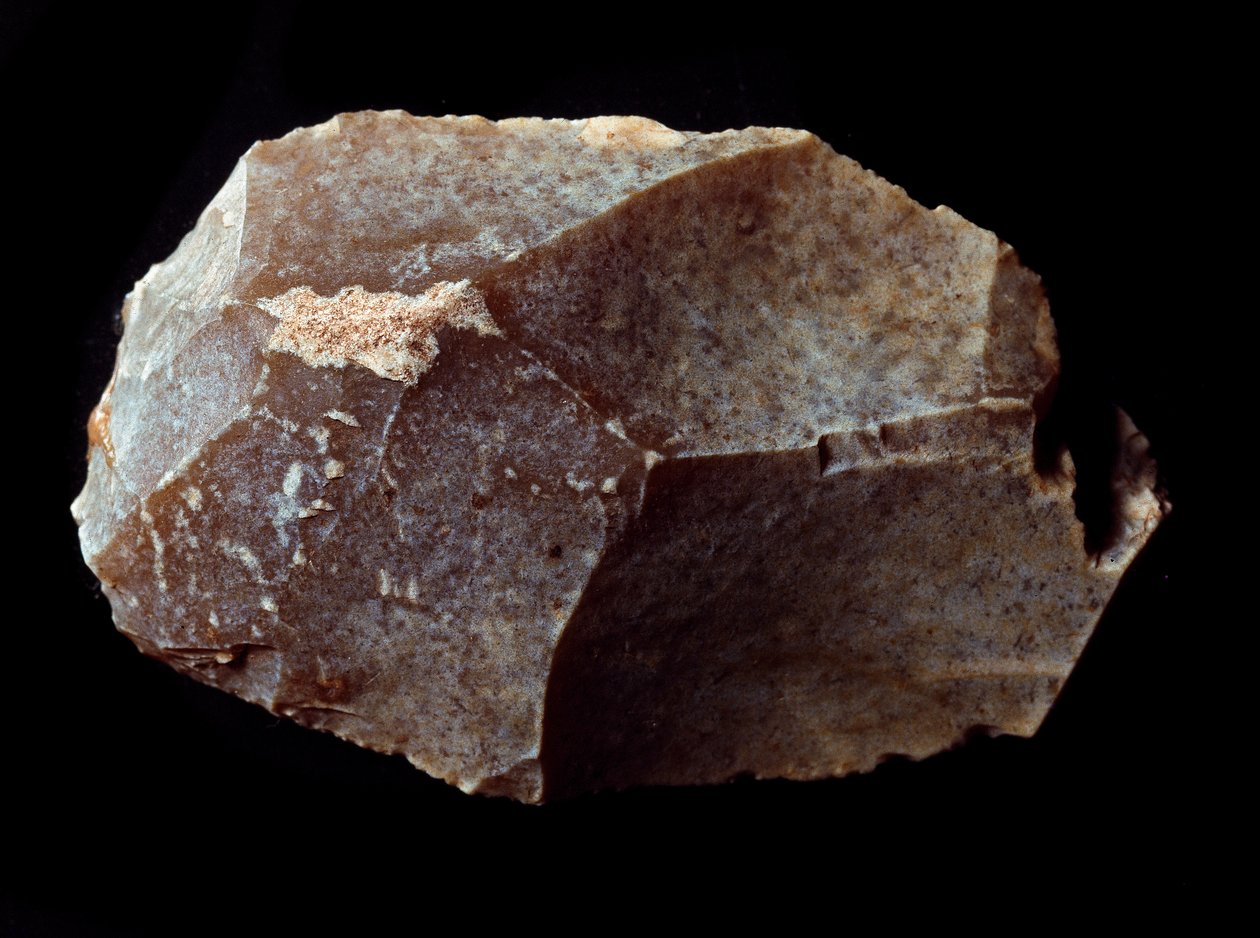 Prehistorya: taş kazıyıcı üzerinde kesilmiş. Üst Paleolitik, Magdalene. Verone, Civic Museum of Natural History, İtalya by Prehistoric Prehistoric