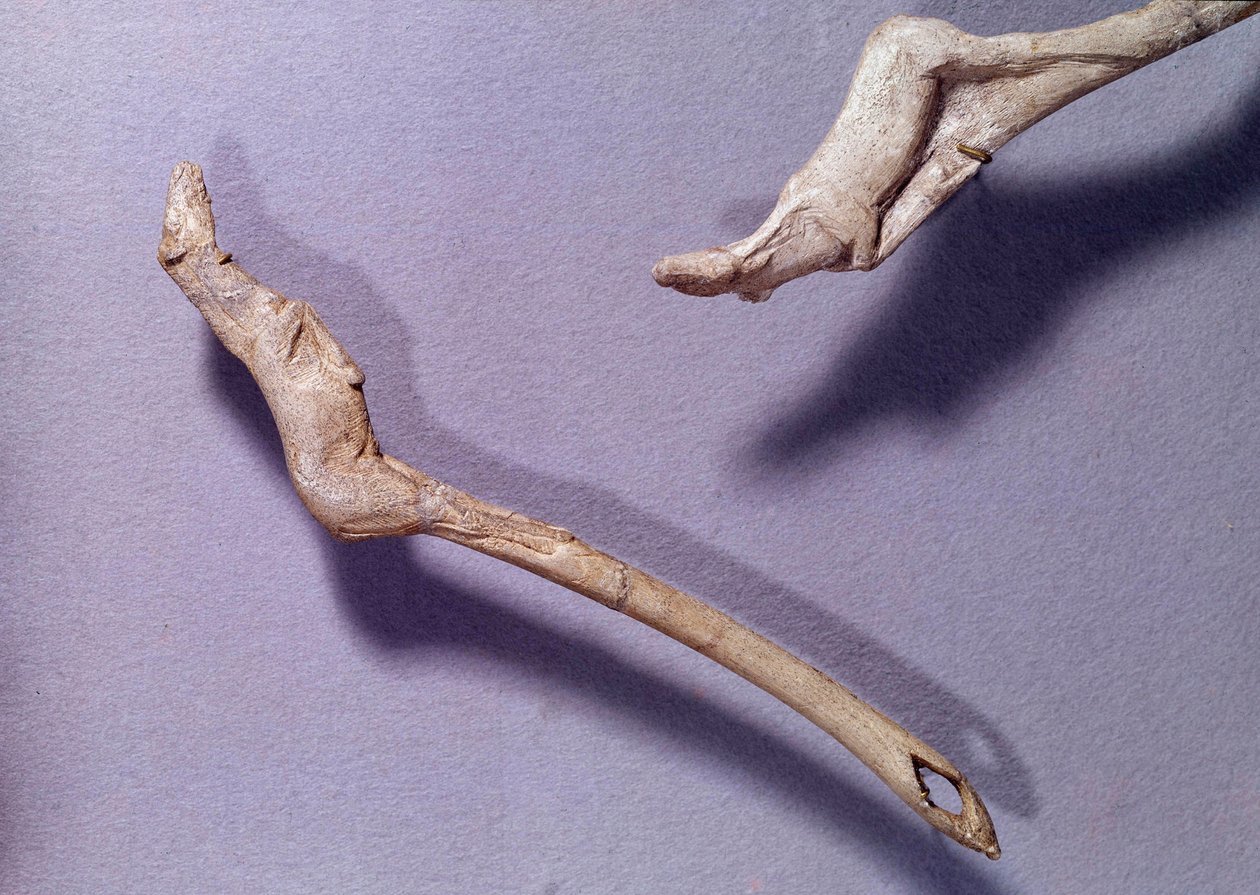 Prehistorya: Ren geyiği ağacından yapılmış iki itici “zıplayan ata” dedi. Orta Magdalenian Dönemi. Saint Germain en Laye, Ulusal Arkeoloji Müzesi by Prehistoric Prehistoric