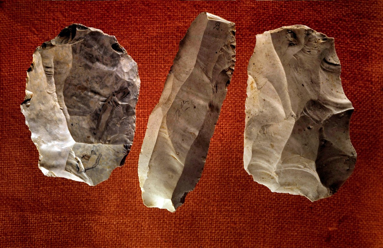 Prehistorya: cilasız oyulmuş baltalar. Neolitik çağ. Saint Germain en Laye, Ulusal Eski Eserler Müzesi by Prehistoric Prehistoric
