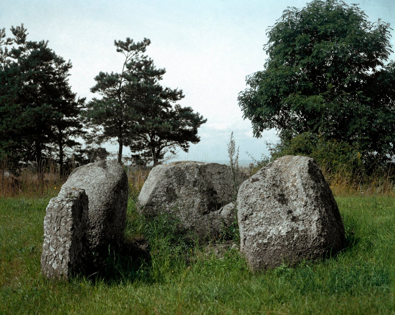 Prehistorya: Giriş koridoru ile Chianca dolmeninin görünümü. Taş Devri, Neolitik. MÖ 6.-3. yy. Bisceglie, Puglia, İtalya by Prehistoric Prehistoric
