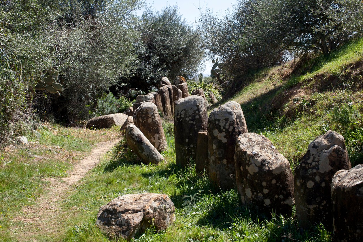 Sidi El Yamani