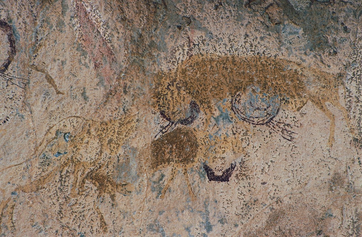 Vahşi hayvanlar (mağara resmi) by Prehistoric Prehistoric