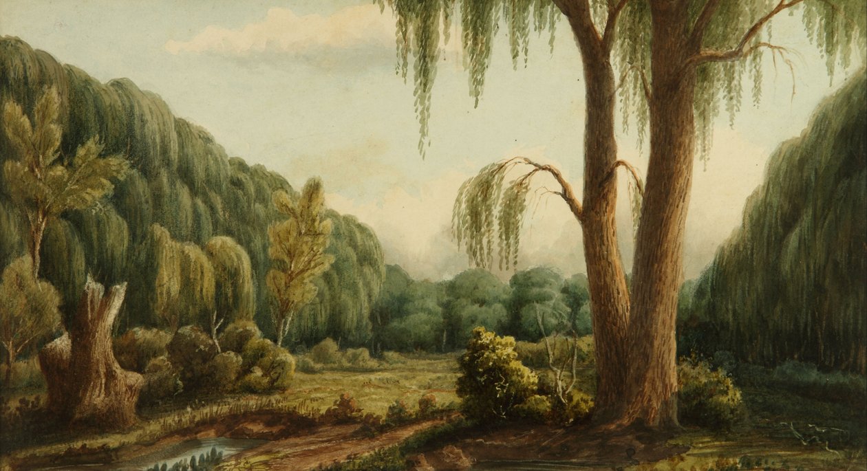Palermo ormanı by Prilidiano Pueyrredon