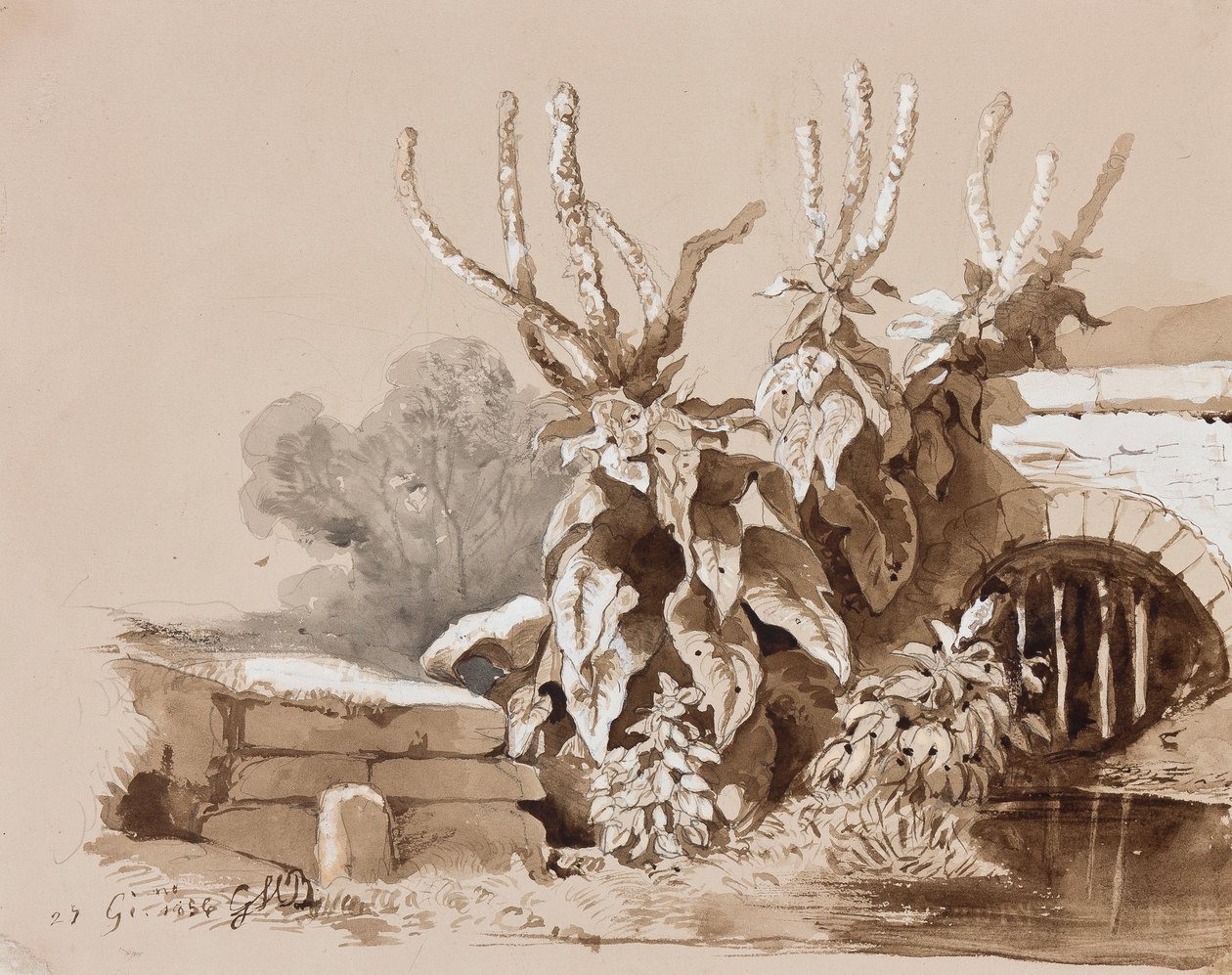 Bitkilerin hendekte incelenmesi, bir eğitmen tarafından yapılan eklemelerle, 1856 (kalem, sepya yıkama ve kağıt üzerine guaj) by Prince Gaetano Maria Federico di Borbone