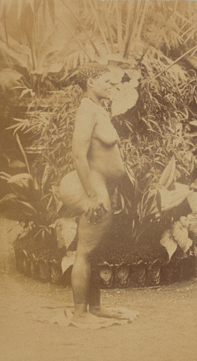 by Prince Roland Napoleon Bonaparte