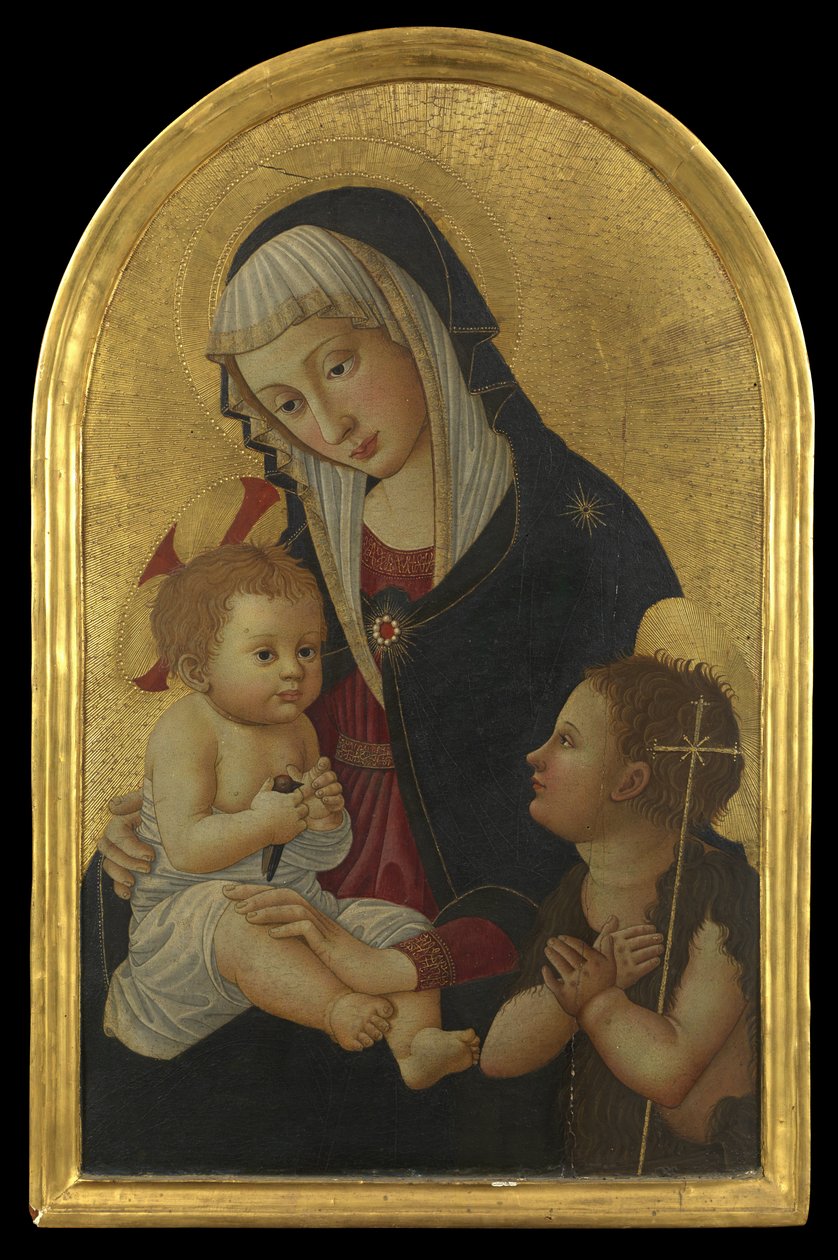 Saka Kuşu ve Bebek Aziz John ile Bakire ve Çocuk, 1460
