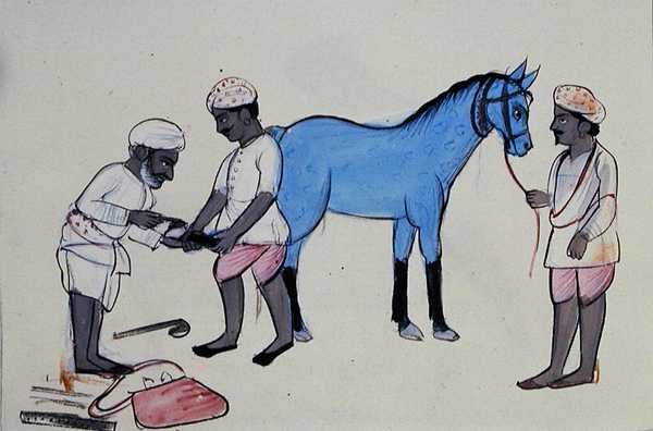 At Nalı Yapıcı (Halband) c.1890 (kağıt üzerine suluboya) by Punjabi School