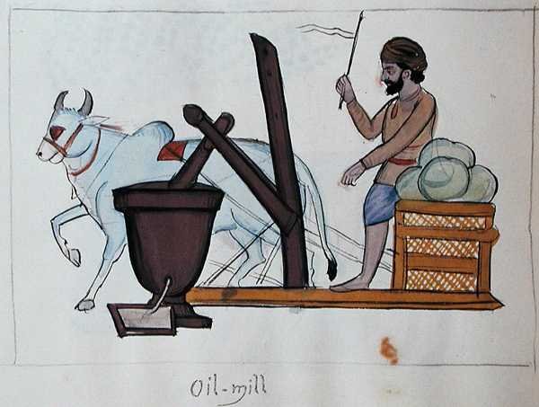 Oil Mill, c.1890 (kağıt üzerine sulu boya) by Punjabi School