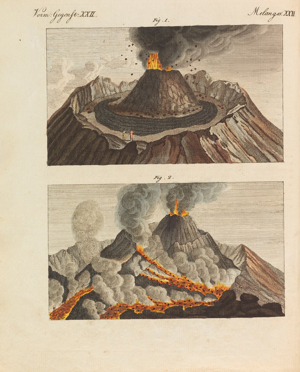 Çocuk Resimli Kitap Çocuk ansiklopedisi, Friedrich Johann Justin Bertuch, 1798-1830. by Pupils of the Weimar Princely Free