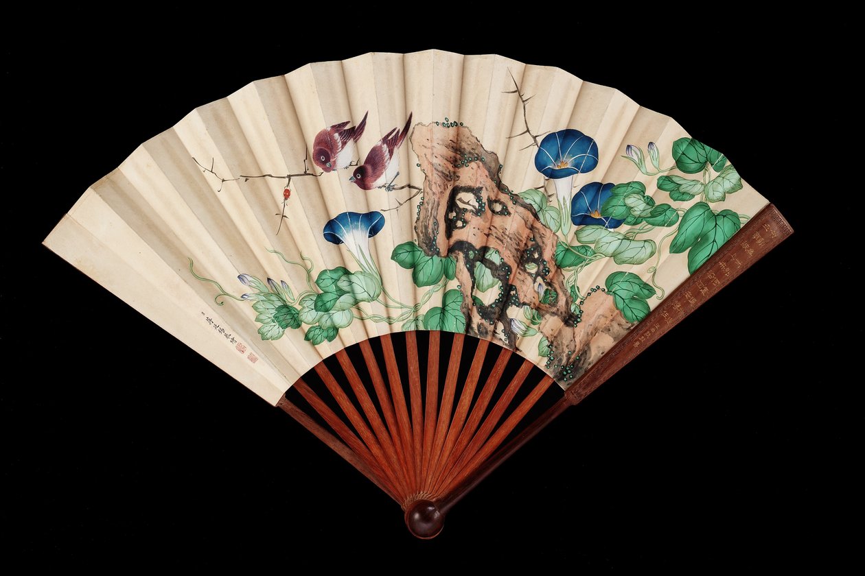 Küçük kuşlar ve sabah zaferleri ile süslenmiş yelpaze (kağıt üzerinde mürekkep ve renkli) by Qing Dynasty Chinese School