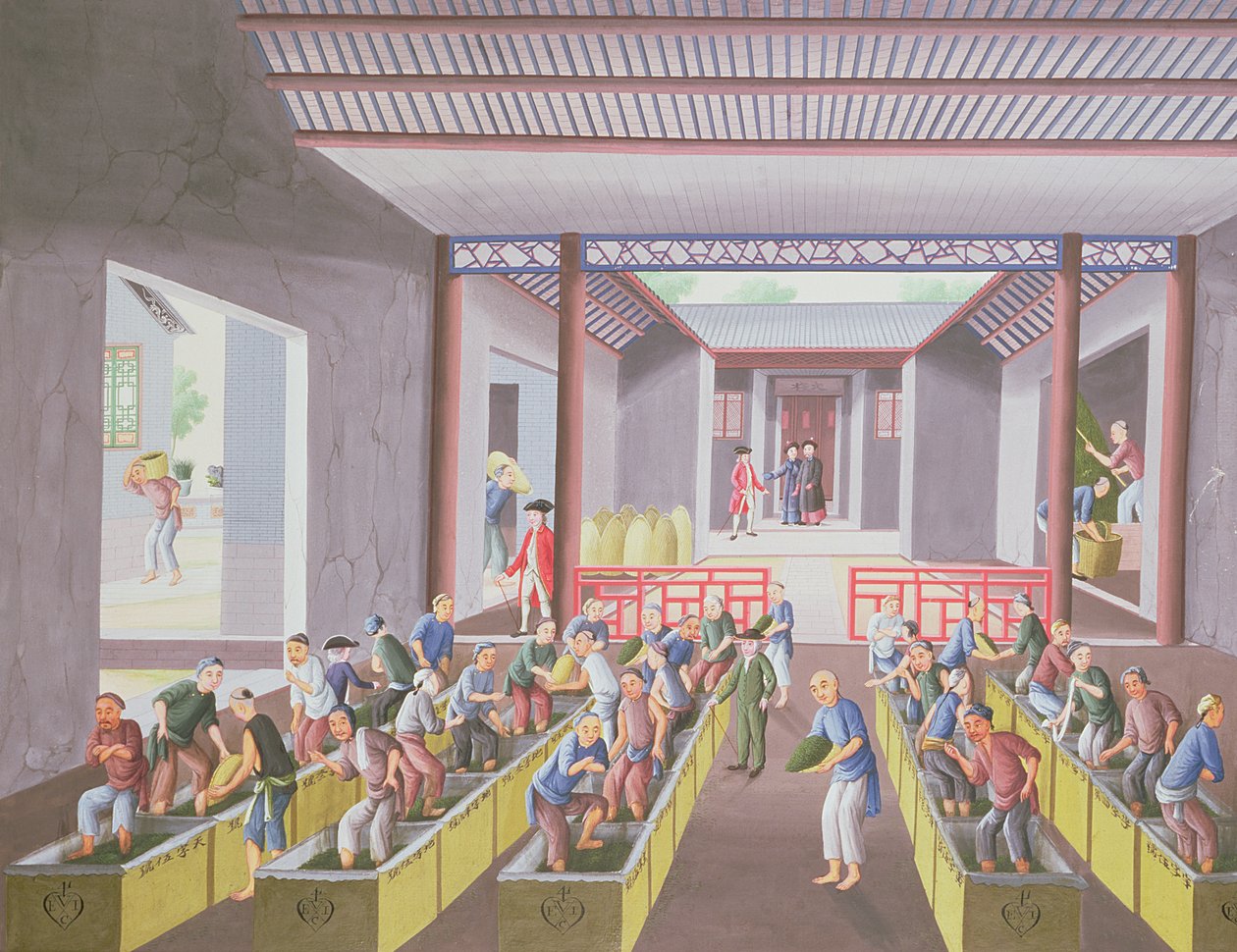 23 resimlik bir albümden çay yapımı, c.1790 (kağıt üzerine renkli) by Qing Dynasty Chinese School