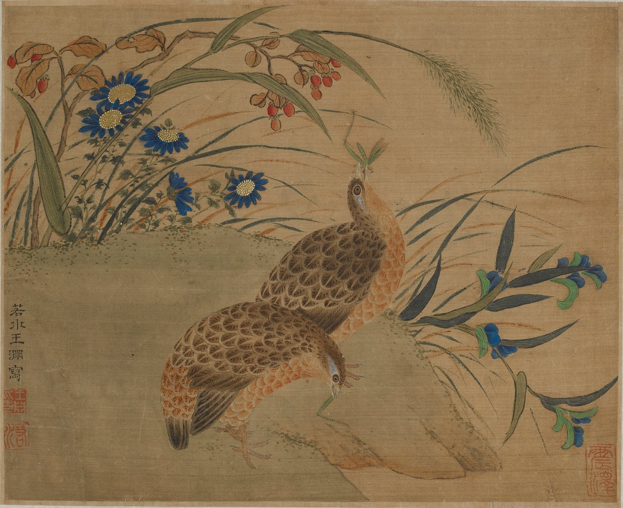 Çiçeklerin altında çekirge yiyen iki bıldırcın by Qing Dynasty Chinese School