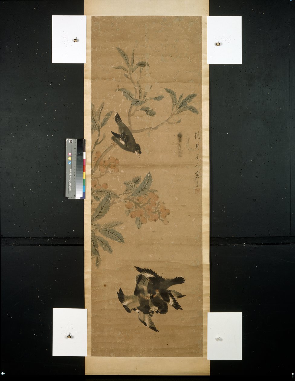Kuşlar ve şube by Qing Dynasty Chinese School