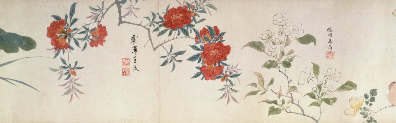 Çiçekler, Elle Kaydırma (kağıt üzerinde mürekkep ve renk) by Qing Dynasty Chinese School