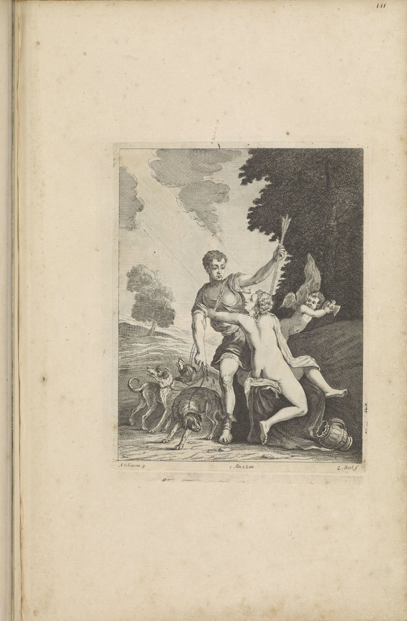 Venüs, Adonis