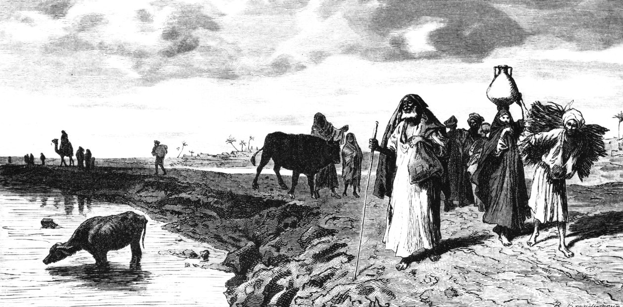 Deltada bir Chaussee, sel sırasında, 1880 by R. Brandamour