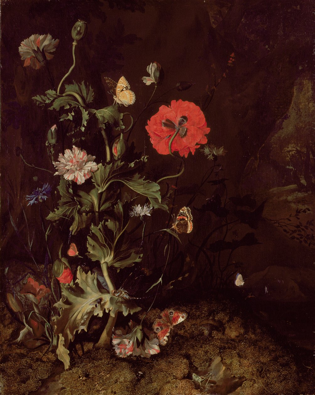 Orman Zemini Çiçekler ve Kelebekler ile Natürmort by Rachel Ruysch