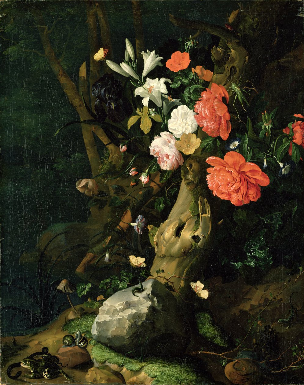 Woodland Ground