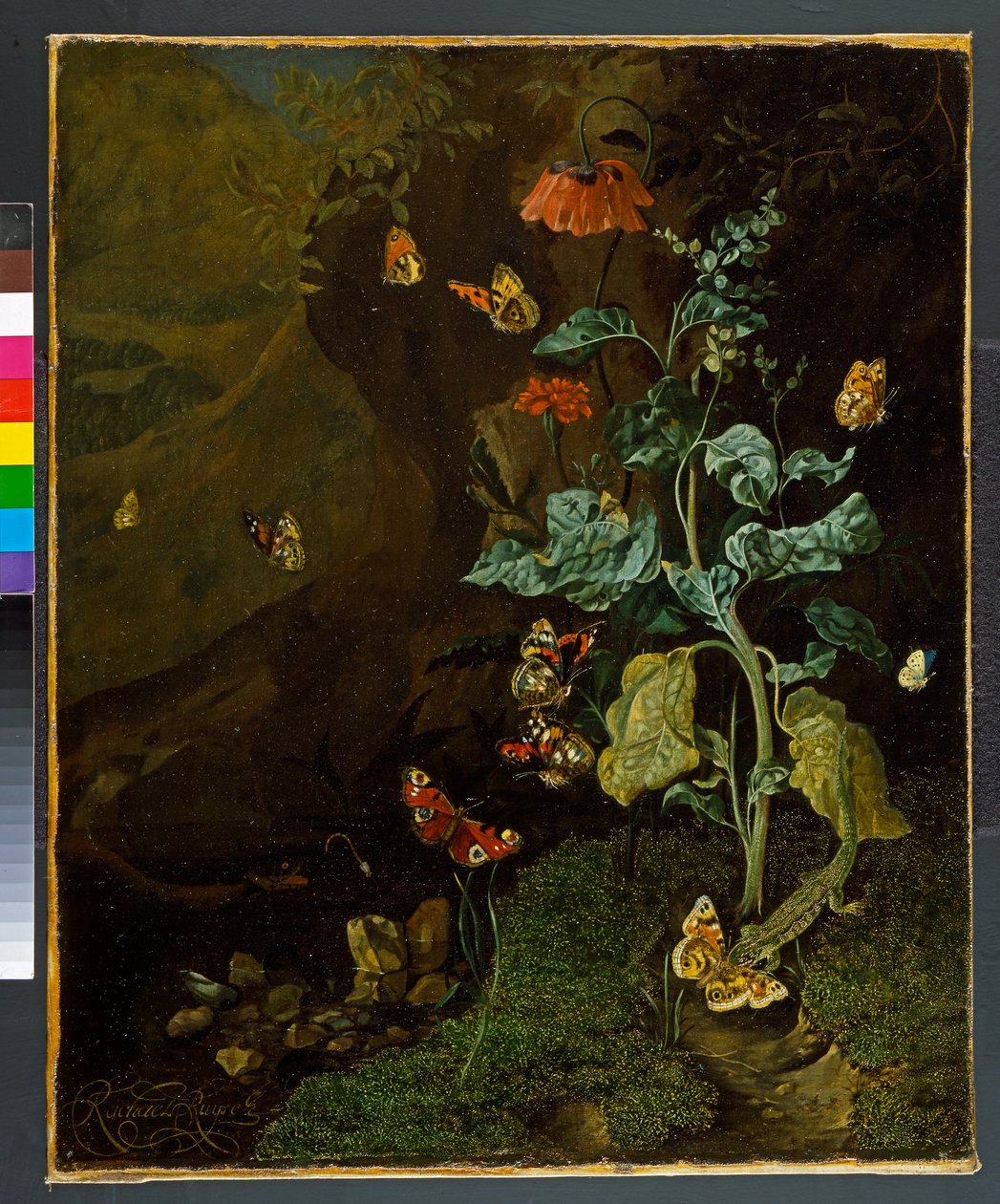 1750'den önce bir vadide çiçekler, kelebekler ve kertenkele ile bir natürmort by Rachel Ruysch