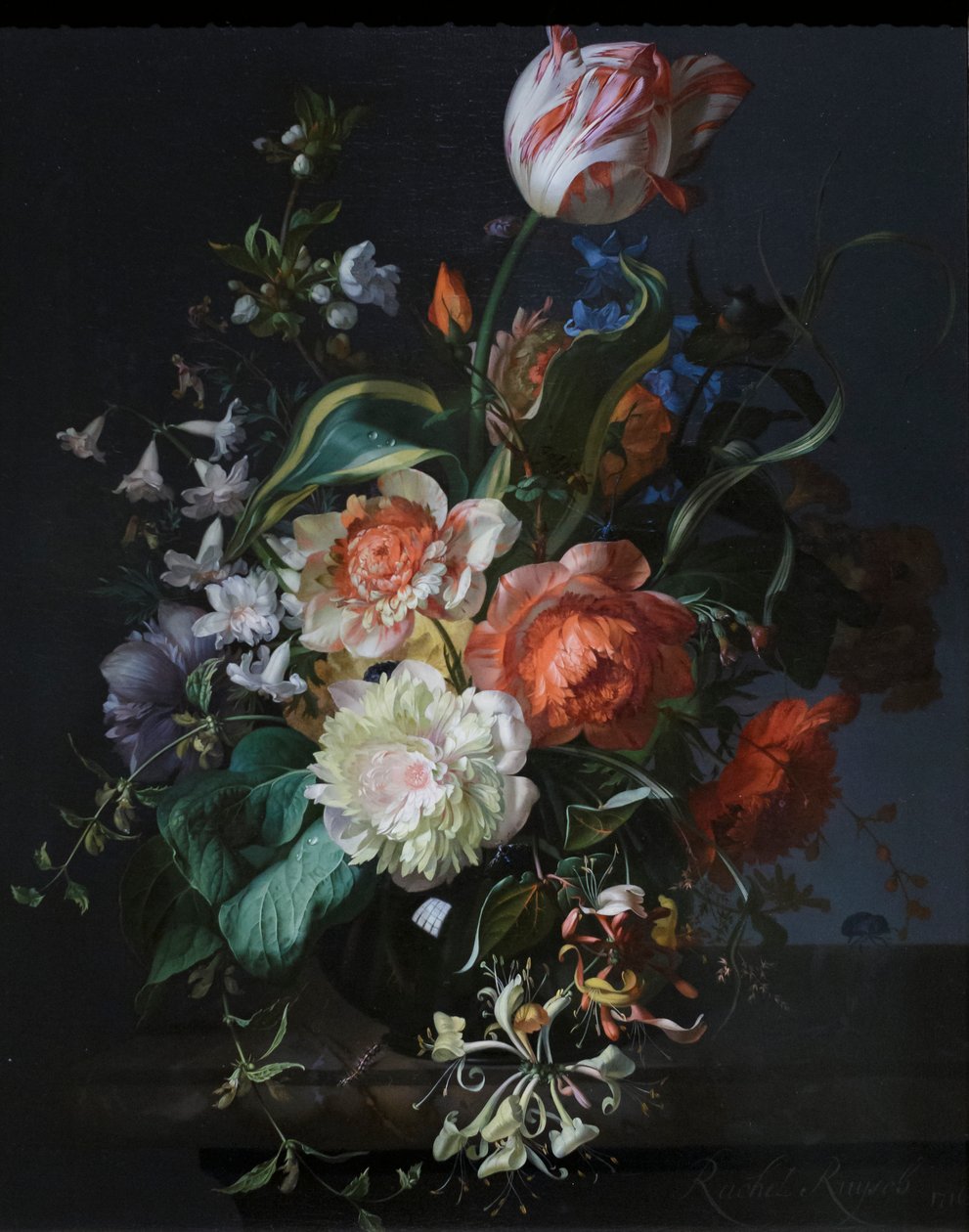  by Rachel Ruysch