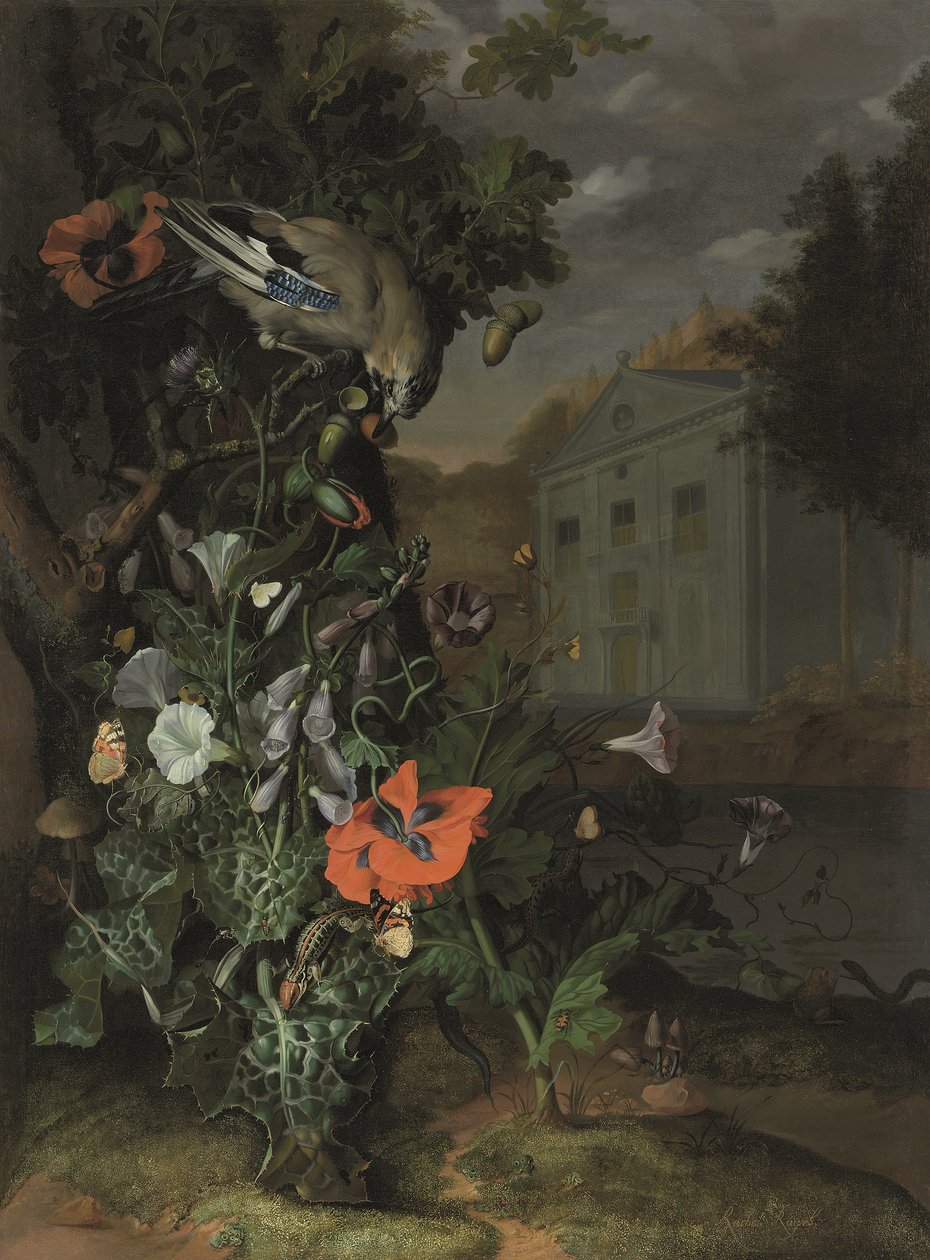 by Rachel Ruysch