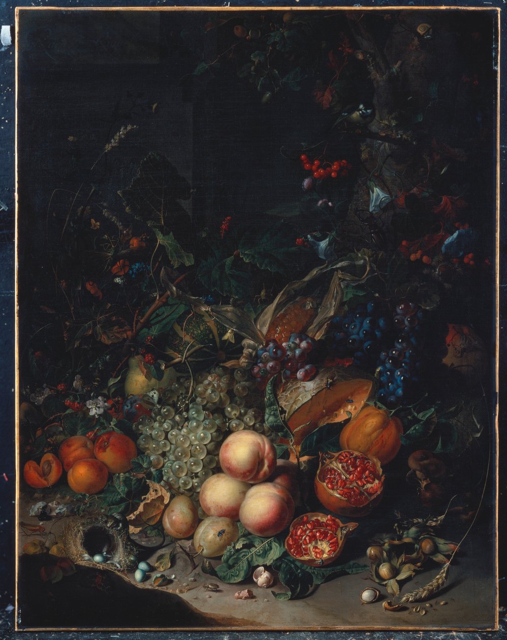 Şeftali, Üzüm, Nar, Kavun, Mısır koçanı, Kayısı, Erik, Armut, Meşe Palamudu, 1718 by Rachel Ruysch