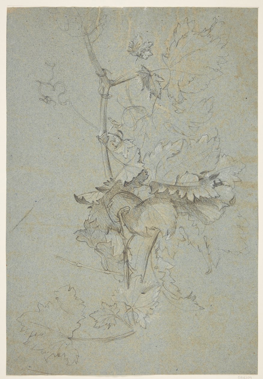 bitki örtüsü by Rachel Ruysch