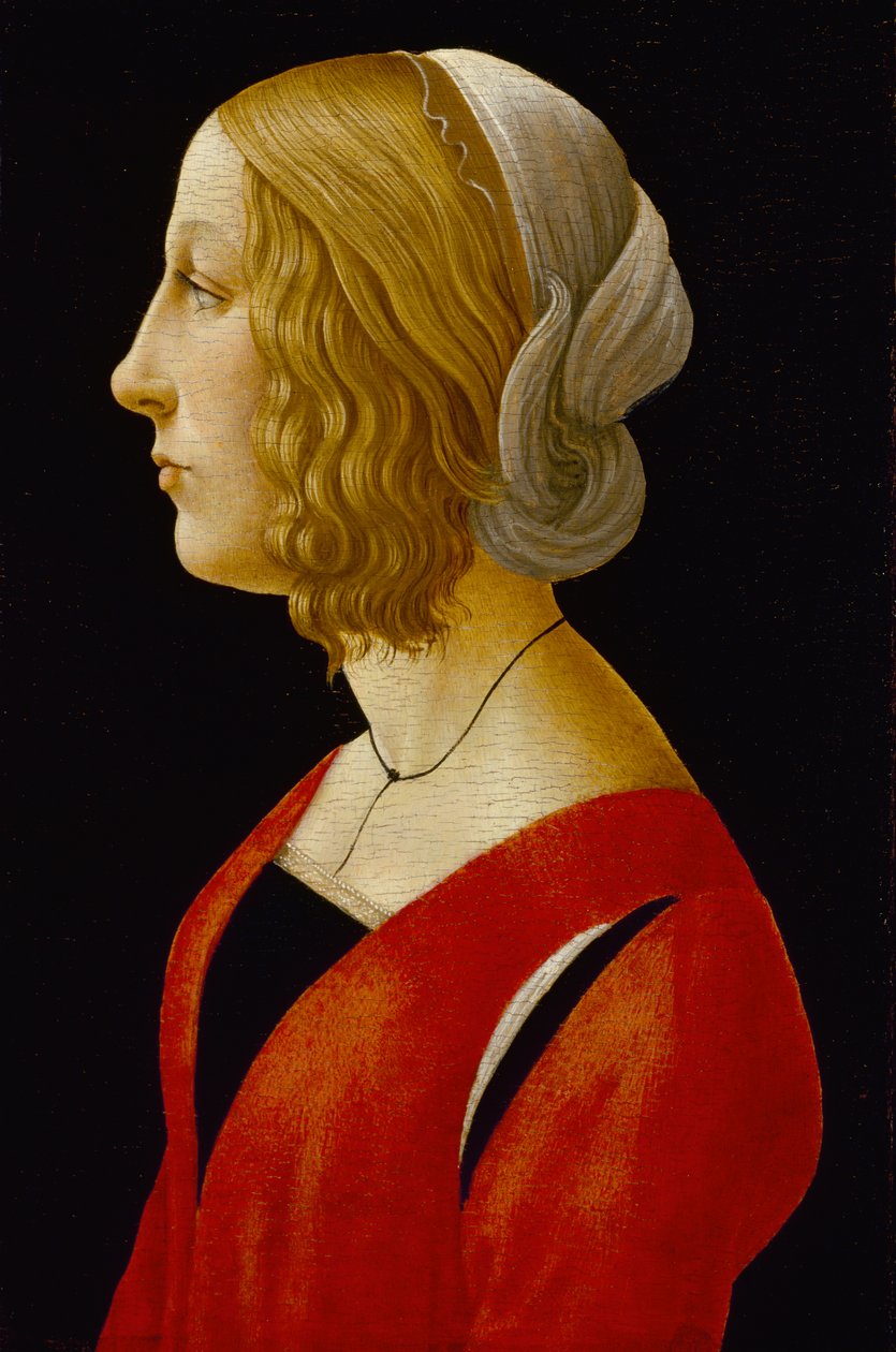 Genç Kadın Büstü, c.1485-90 (panelde mizaç) by Raffaellino del Garbo