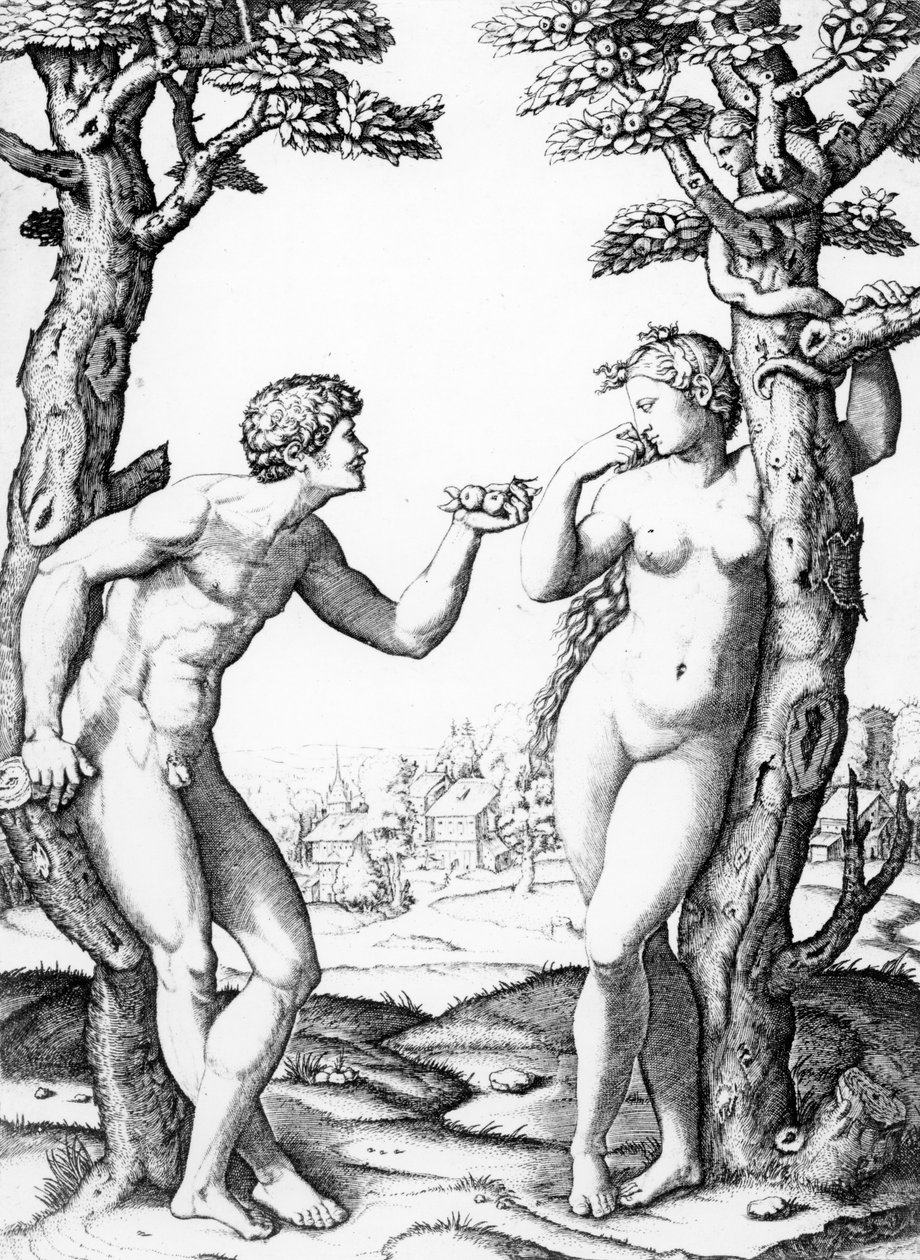 Adem ve Havva, Marcantonio tarafından oyulmuş, c.1520 by Raffaello Sanzio Raphael