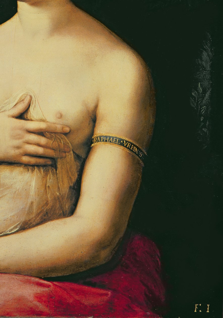 La Fornarina, c.1516 (panel) (68213 detayı) by Raffaello Sanzio Raphael