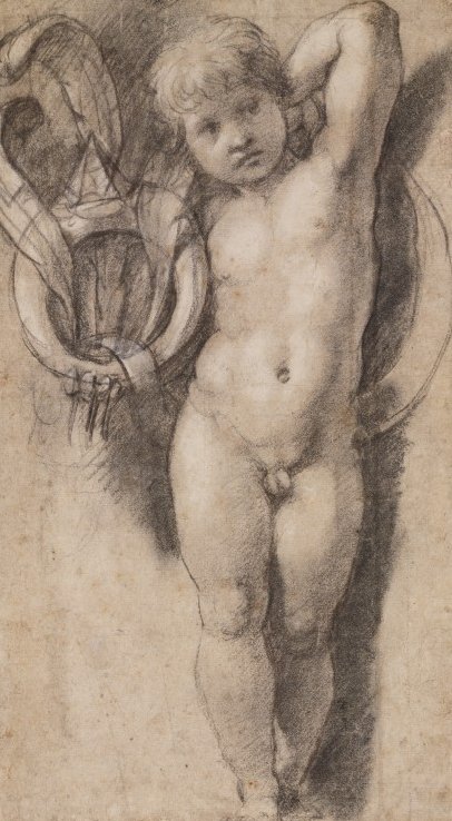 Medici Sembollü Putto by Raffaello Sanzio Raphael