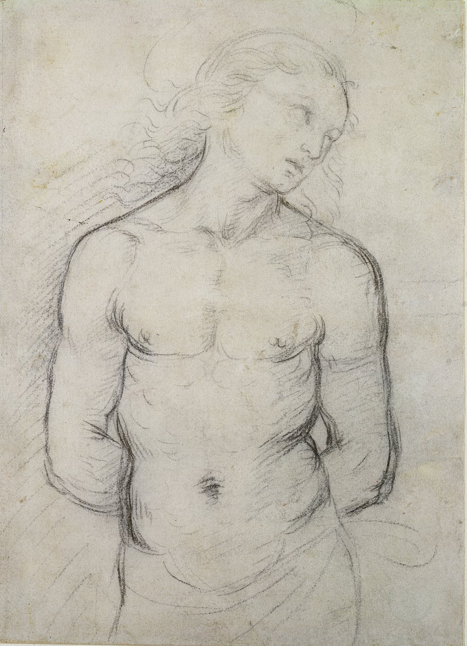 Aziz Sebastian, 1499-1500 (beyaz kağıt üzerine siyah tebeşir) by Raffaello Sanzio Raphael
