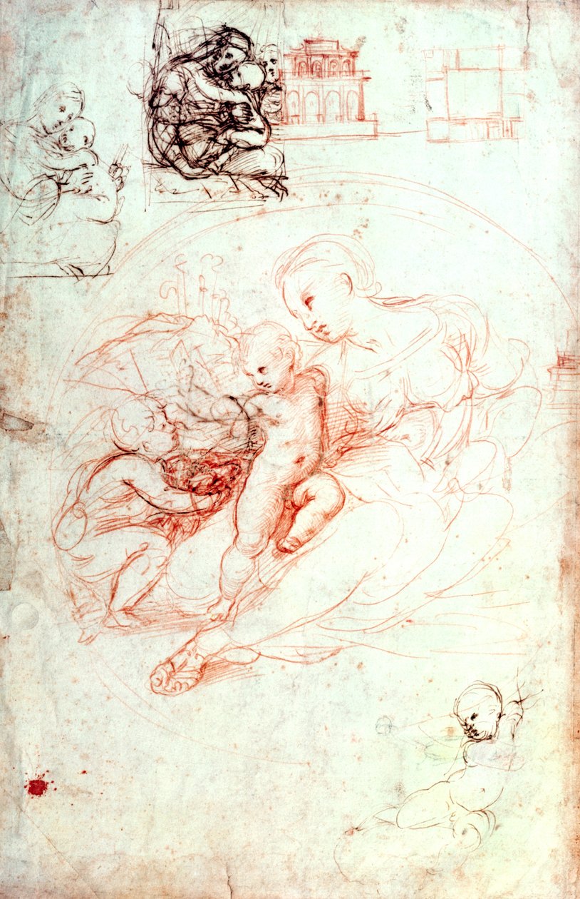 Study for the Alba Madonna, c.1508-09  by Raffaello Sanzio Raphael