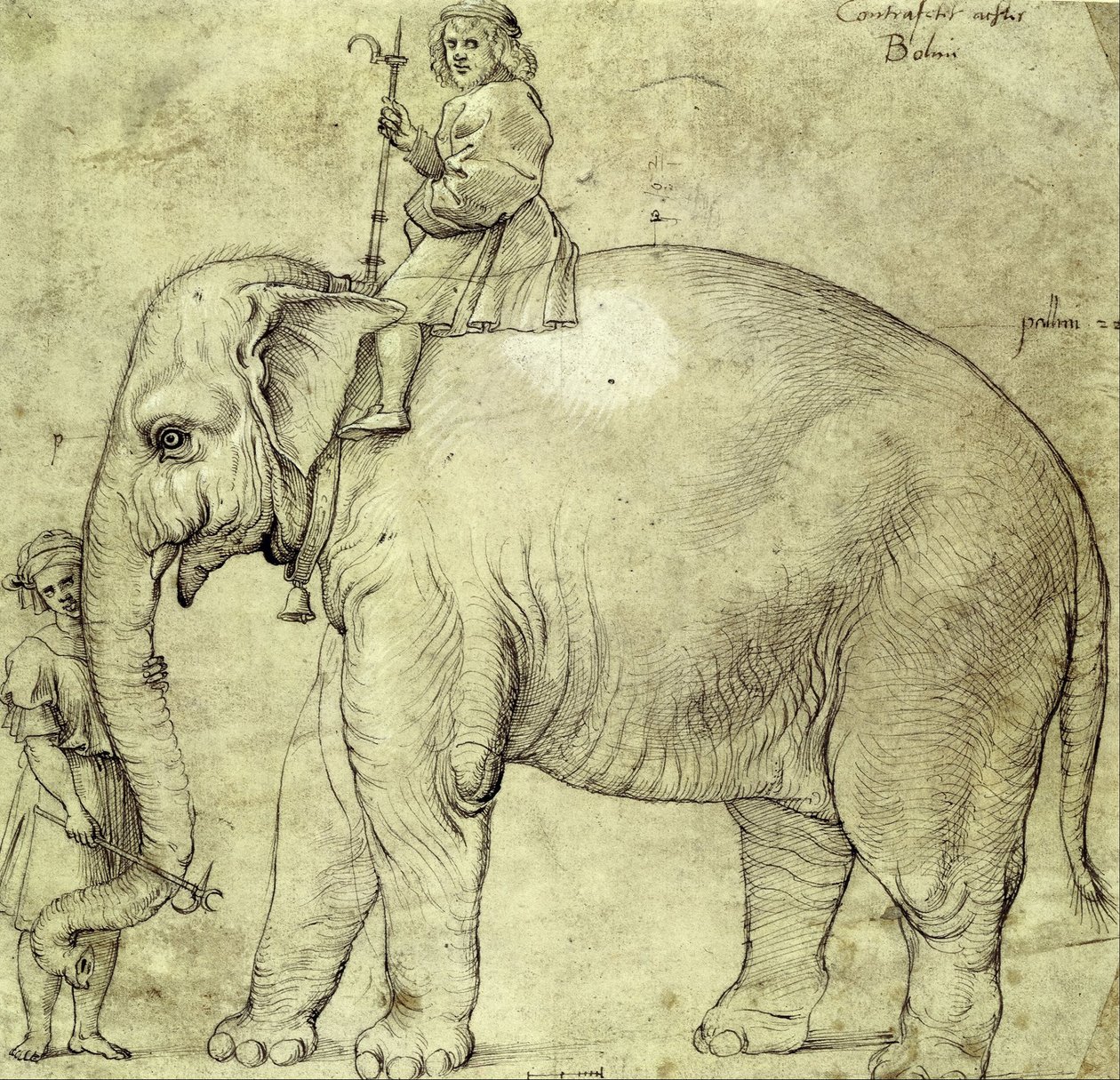 Fil Hanno by Raffaello Sanzio Raphael