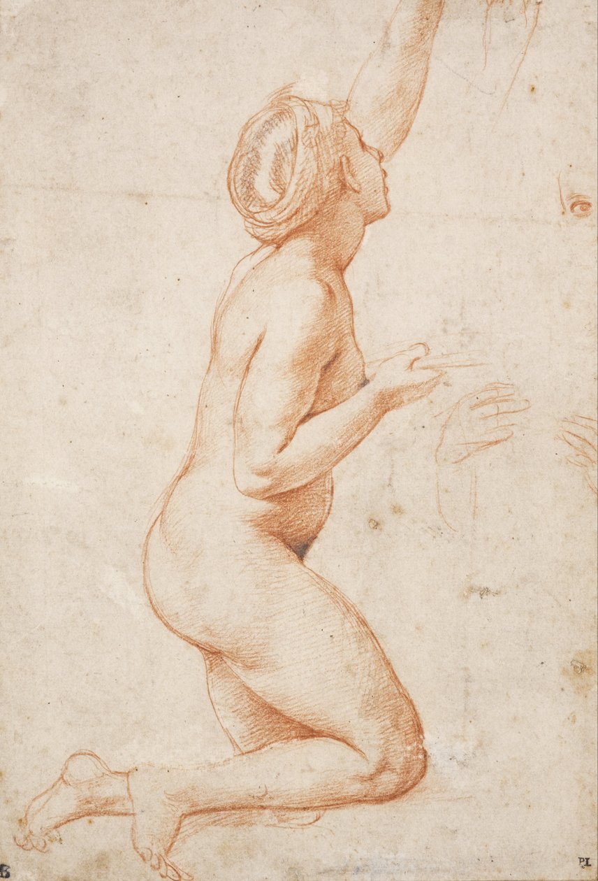 Sol Kolunu Kaldırmış Diz çökmüş çıplak bir kadın by Raffaello Sanzio Raphael