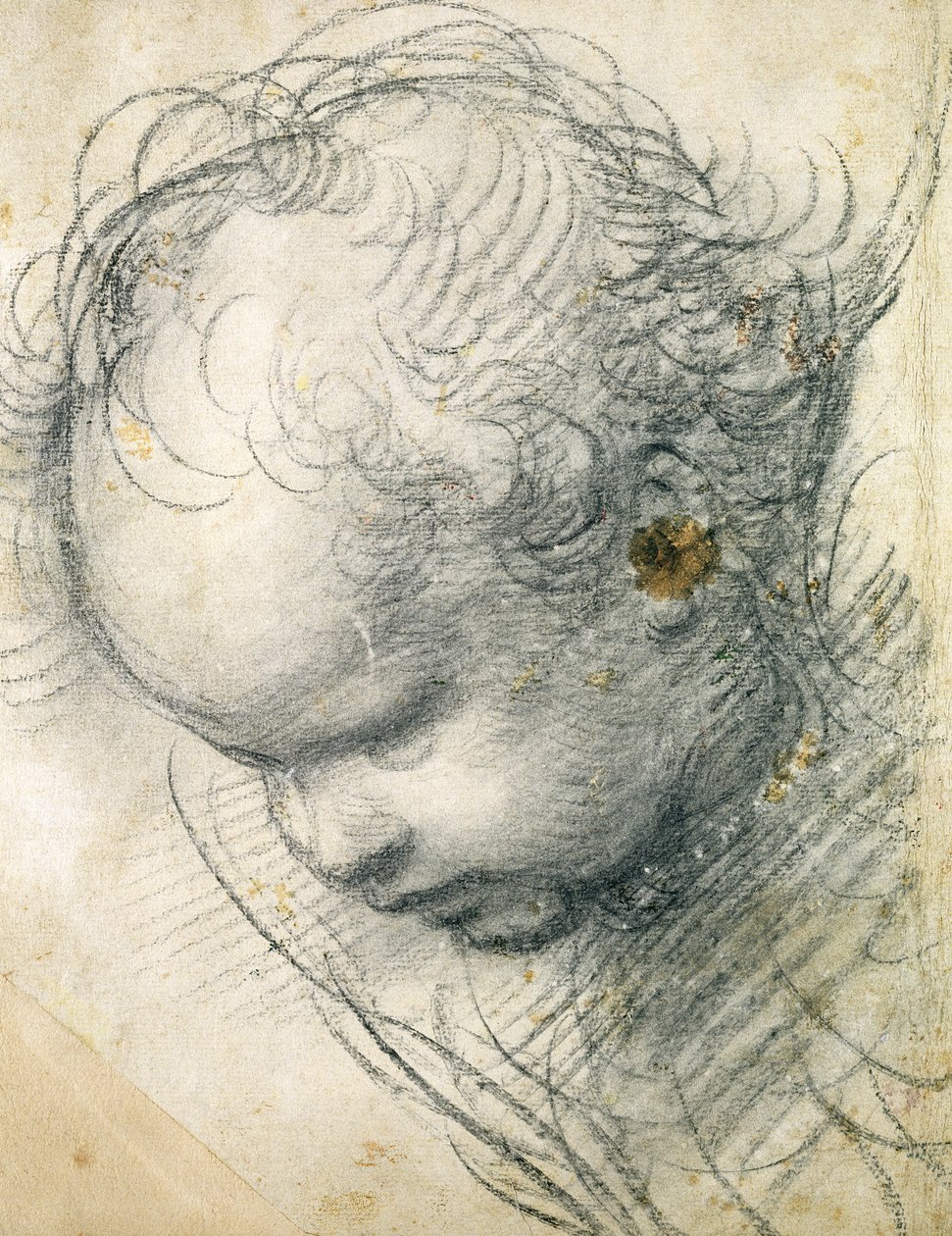 Bir Cherub