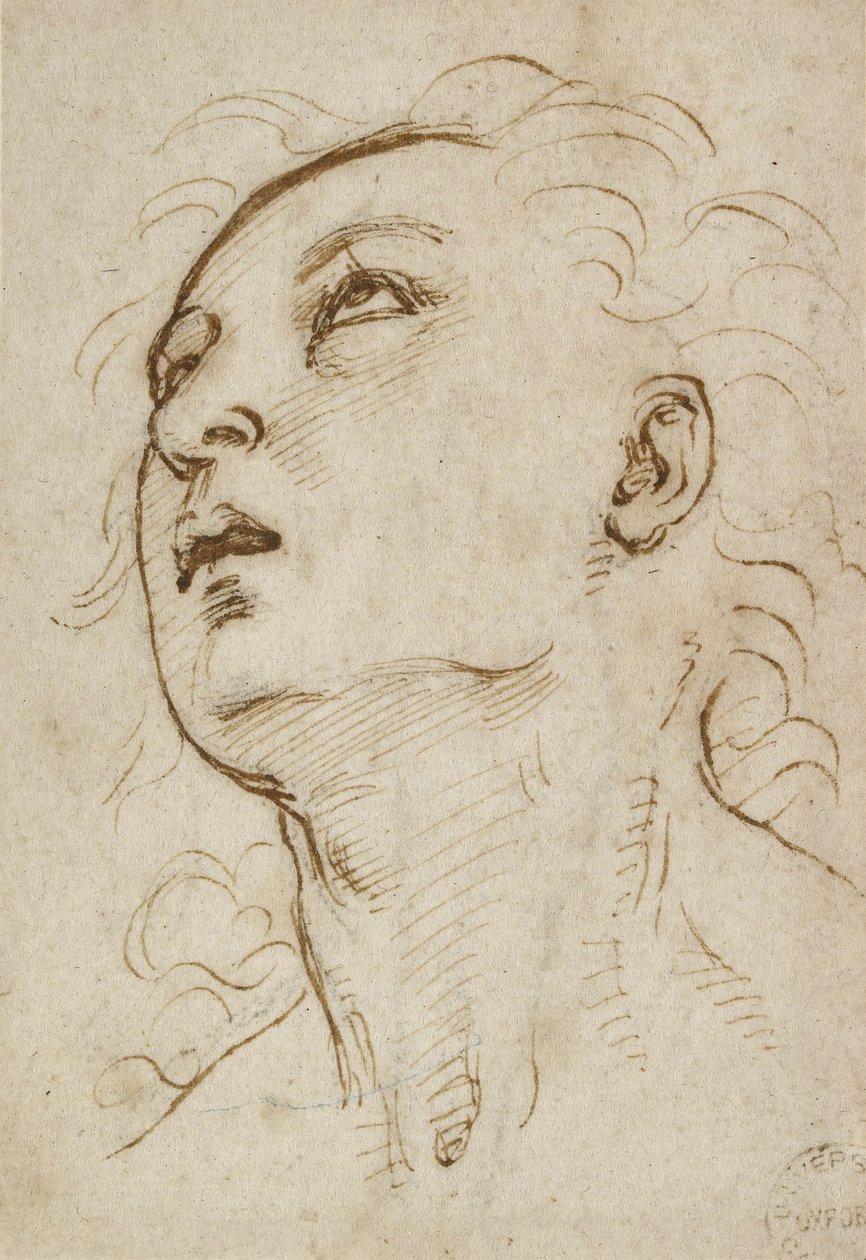 Yukarıya Bakan Genç Bir Adamın Başı, c. 1497-1504 (krem kağıt üzerinde metal nokta üzerine kalem ve kahverengi mürekkep) by Raffaello Sanzio Raphael