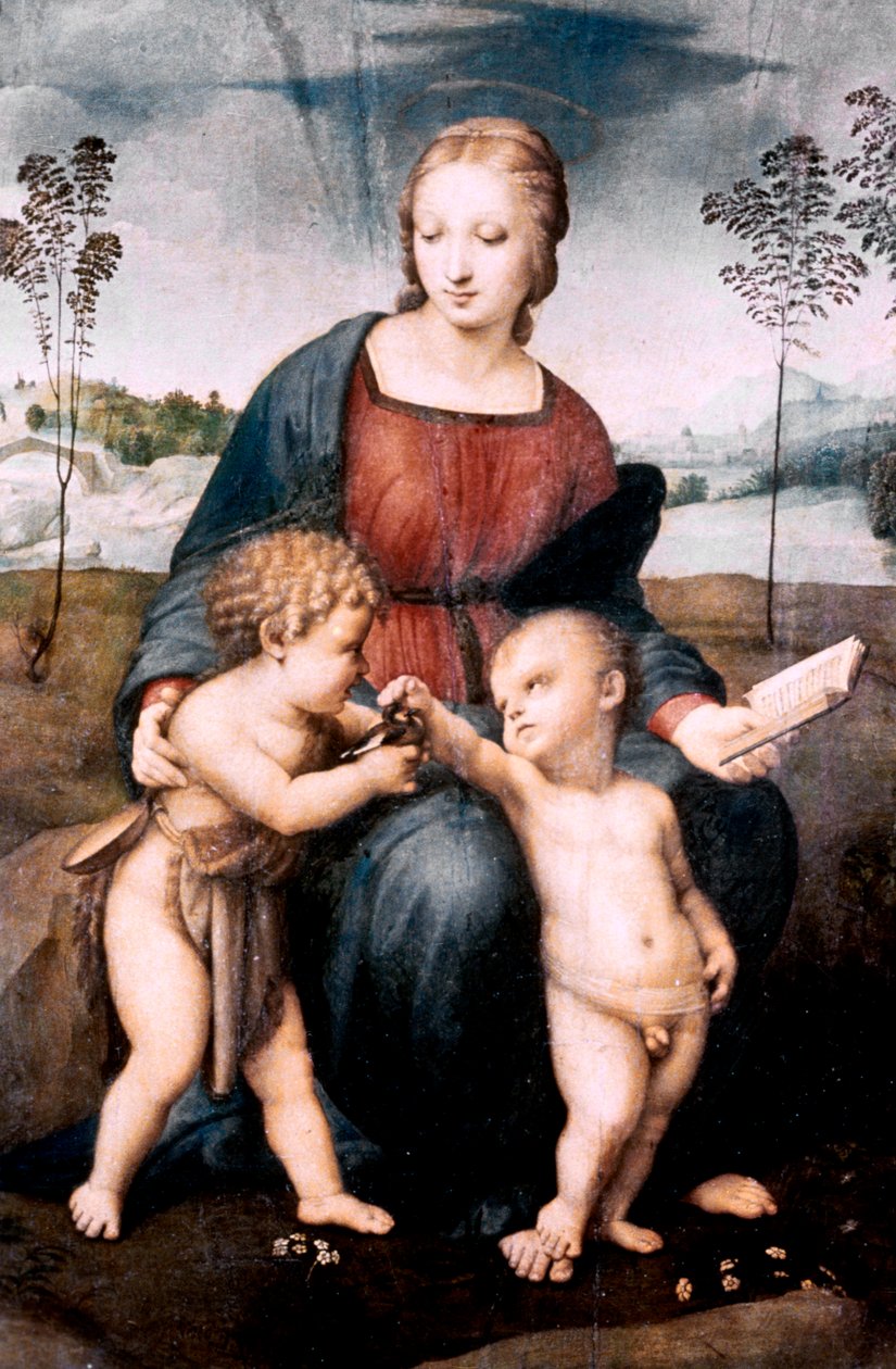 Saka Kuşu Madonna, 1507 by Raffaello Sanzio Raphael