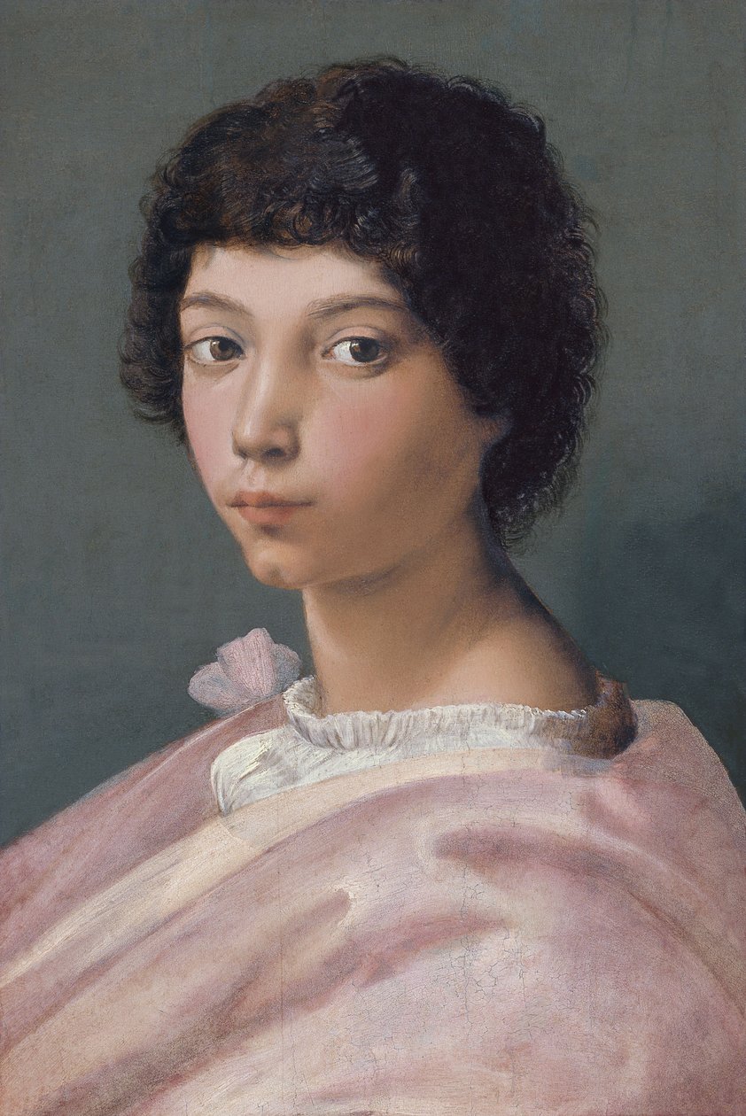 genç bir adam portresi by Raffaello Sanzio Raphael