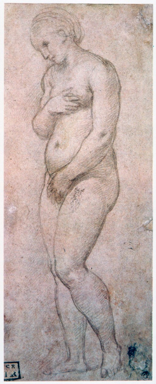 Venüs Çalışması, c1500-1520 by Raffaello Sanzio Raphael