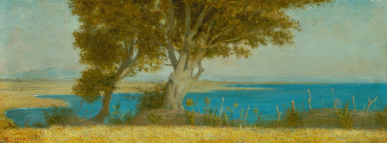  by Raffaello Sernesi
