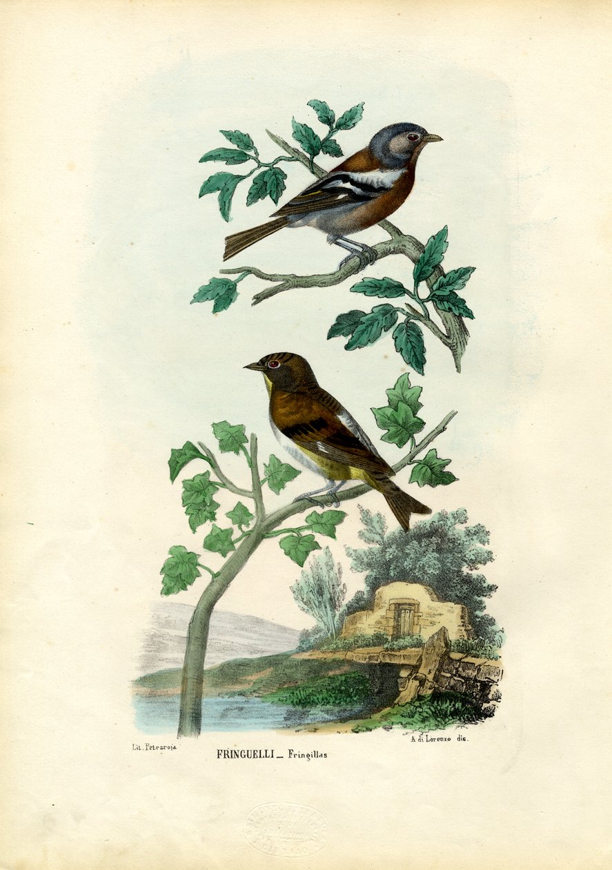 ispinoz, 1863-79 by Raimundo Petraroja