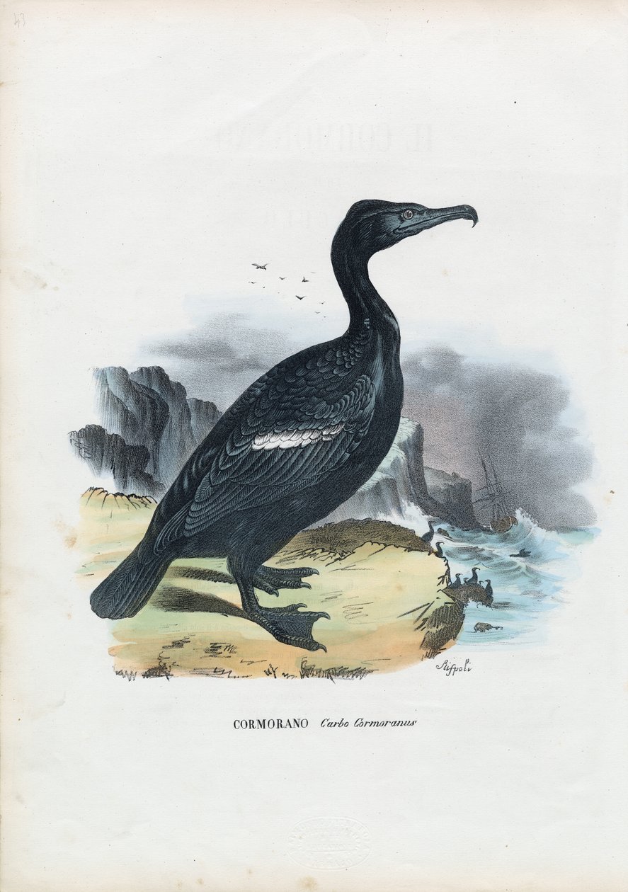 Karabatak, 1863-79 by Raimundo Petraroja