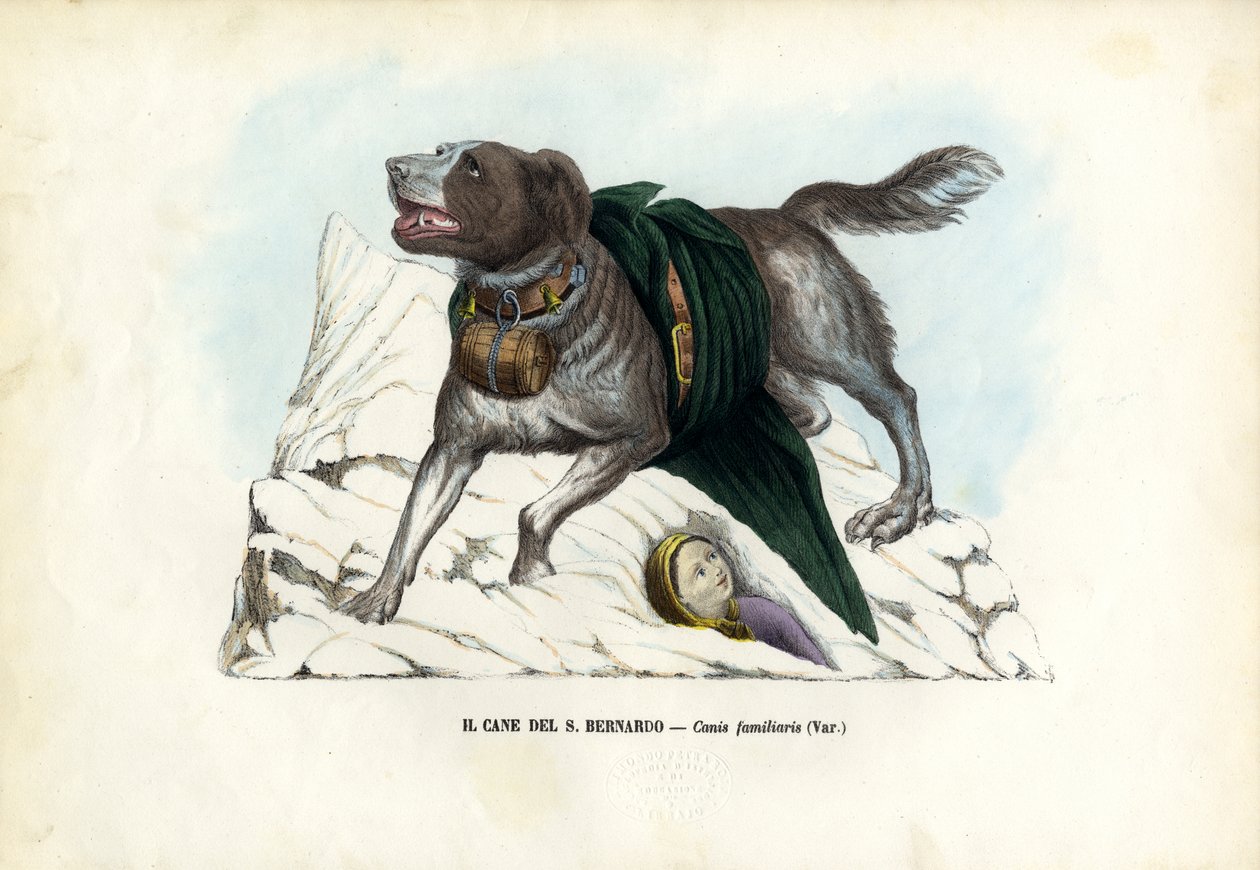 Köpekler, 1863-79 by Raimundo Petraroja