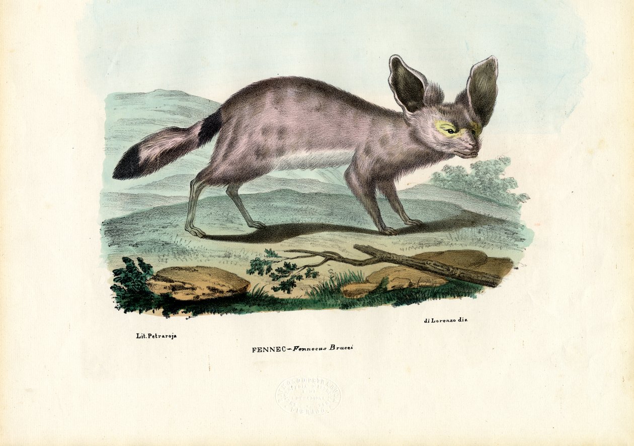 Rezene, 1863-79 by Raimundo Petraroja