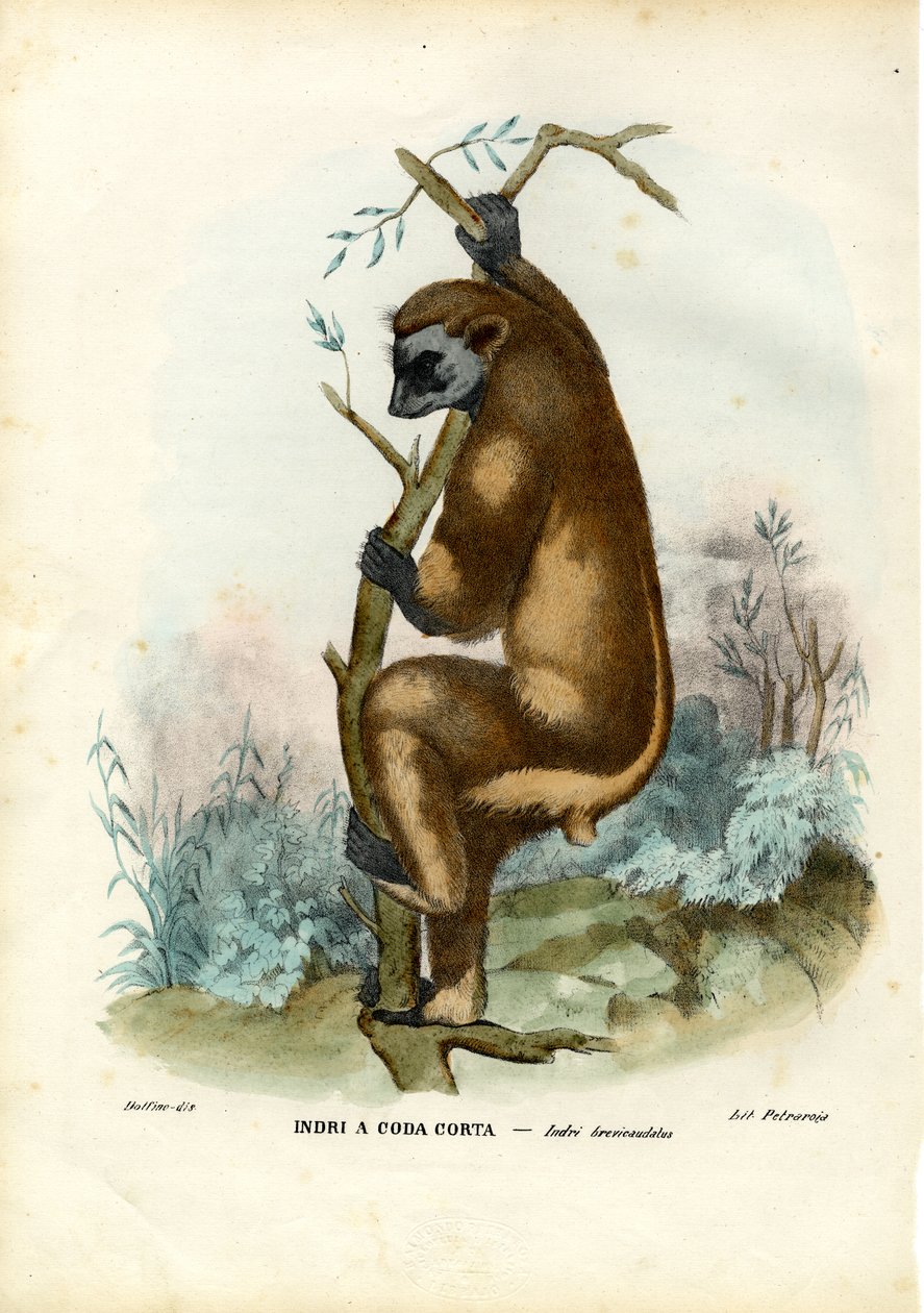 Mbega isi nziza by Raimundo Petraroja