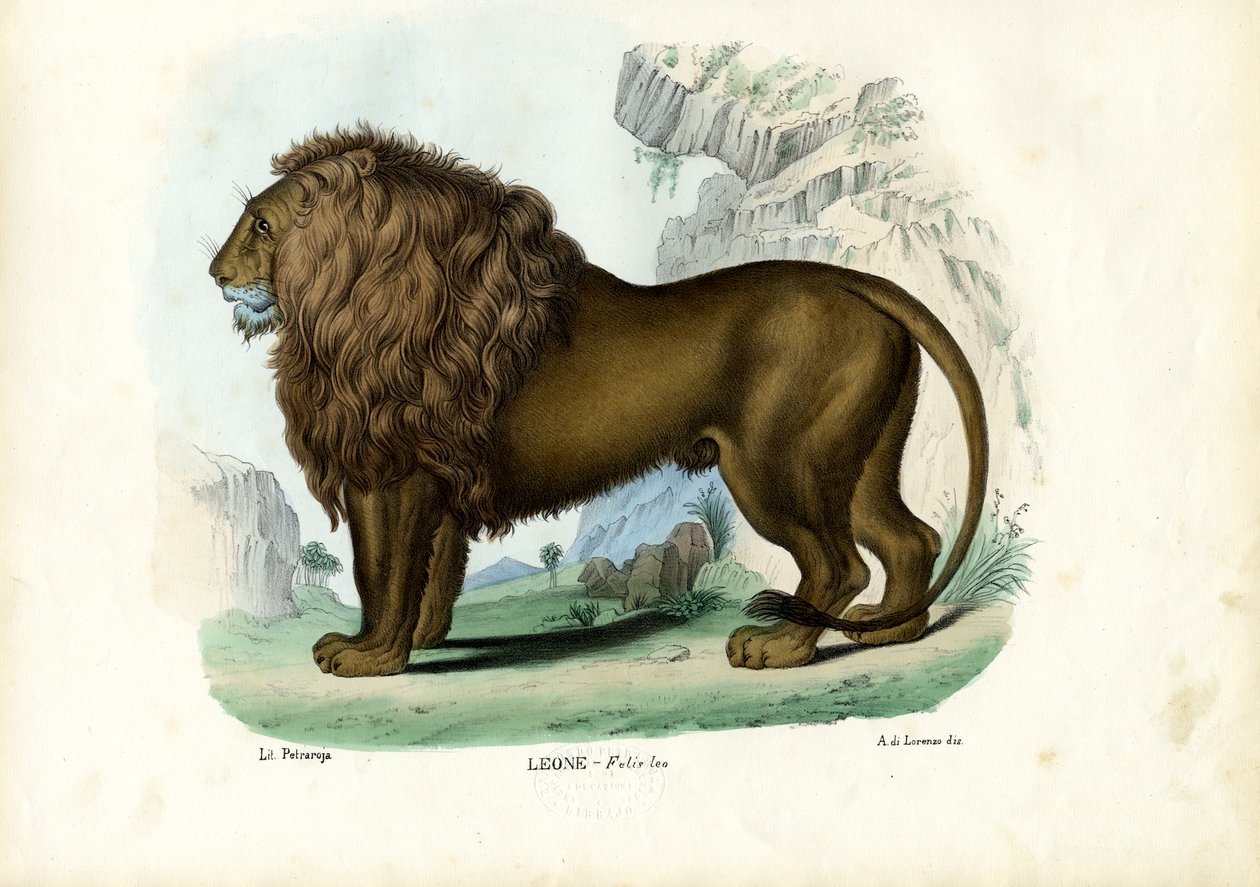 Aslan, 1863-79 by Raimundo Petraroja